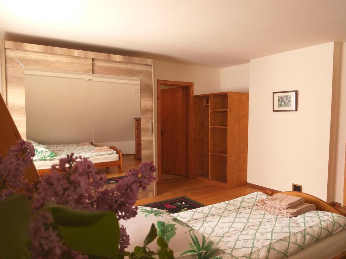 Salamandra Apartamento Krempna Exterior foto