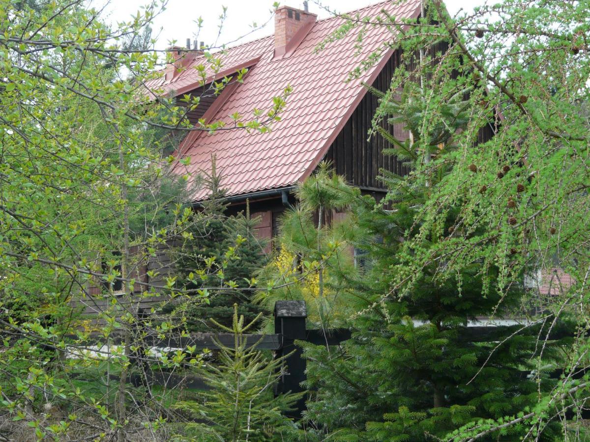 Salamandra Apartamento Krempna Exterior foto